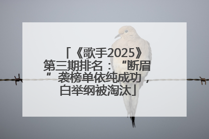 《歌手2025》第三期排名：“断眉”袭榜单依纯成功，白举纲被淘汰