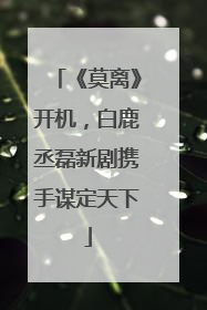 《莫离》开机，白鹿丞磊新剧携手谋定天下