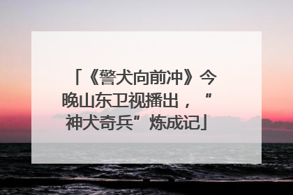 《警犬向前冲》今晚山东卫视播出，“神犬奇兵”炼成记