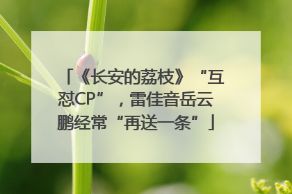 《长安的荔枝》“互怼CP”，雷佳音岳云鹏经常“再送一条”
