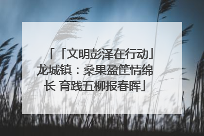「文明彭泽在行动」龙城镇：桑果盈筐情绵长 育践五柳报春晖
