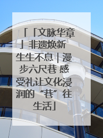 「文脉华章」非遗焕新 生生不息｜漫步六尺巷 感受礼让文化浸润的“巷”往生活