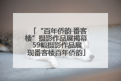“百年侨韵·番客楼”摄影作品展揭幕 59幅摄影作品展现番客楼百年侨韵