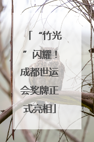 “竹光”闪耀！成都世运会奖牌正式亮相