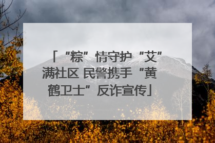 “粽”情守护“艾”满社区 民警携手“黄鹤卫士”反诈宣传