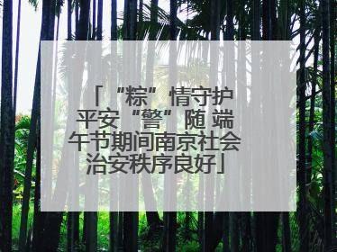 “粽”情守护 平安“警”随 端午节期间南京社会治安秩序良好