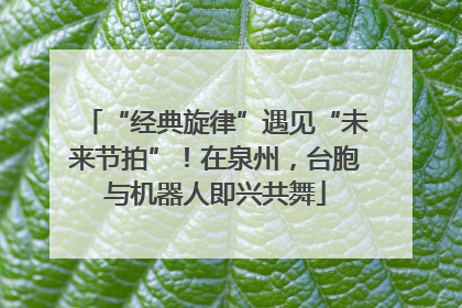 “经典旋律”遇见“未来节拍”！在泉州，台胞与机器人即兴共舞