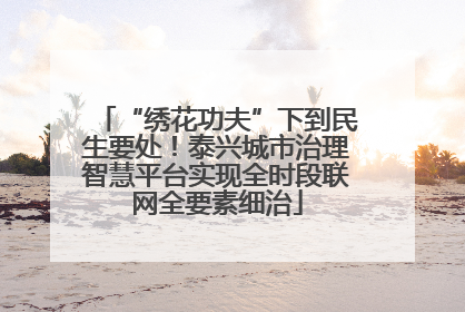 “绣花功夫”下到民生要处！泰兴城市治理智慧平台实现全时段联网全要素细治
