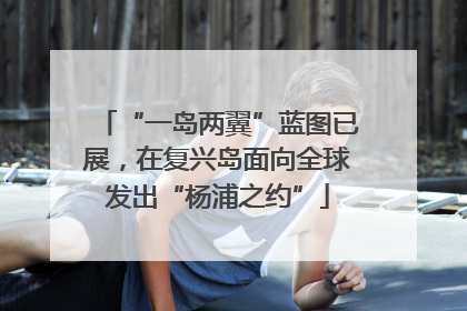 “一岛两翼”蓝图已展，在复兴岛面向全球发出“杨浦之约”