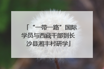 “一带一路”国际学员与西藏干部到长沙县湘丰村研学