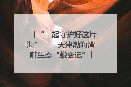 “一起守护好这片海”——天津渤海湾畔生态“蜕变记”