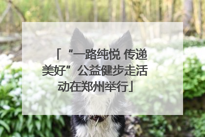 “一路纯悦 传递美好”公益健步走活动在郑州举行