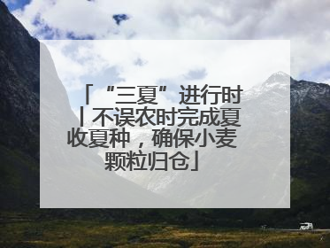 “三夏”进行时丨不误农时完成夏收夏种，确保小麦颗粒归仓