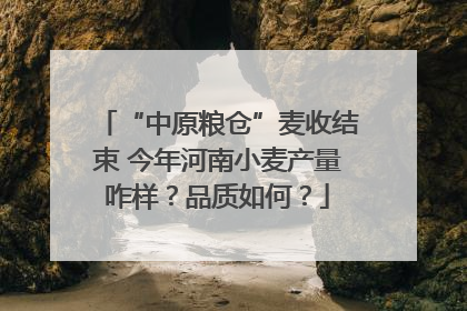 “中原粮仓”麦收结束 今年河南小麦产量咋样？品质如何？