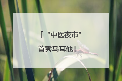 “中医夜市”首秀马耳他