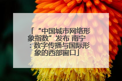 “中国城市网络形象指数”发布 南宁：数字传播与国际形象的西部窗口