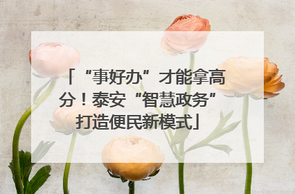 “事好办”才能拿高分！泰安“智慧政务”打造便民新模式