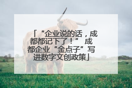 “企业说的话，成都都记下了！” 成都企业“金点子”写进数字文创政策
