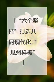 “六个坚持”打造共同现代化“瓜州样板”