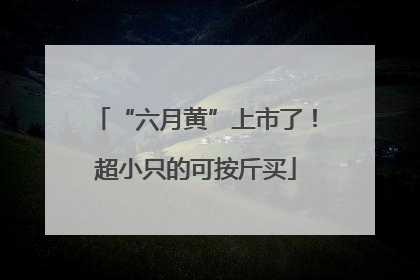“六月黄”上市了！超小只的可按斤买