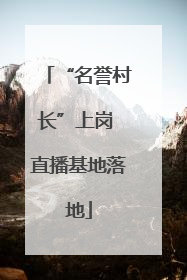 “名誉村长”上岗 直播基地落地