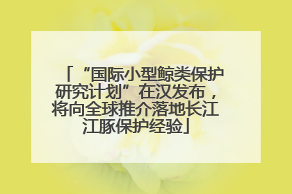 “国际小型鲸类保护研究计划”在汉发布，将向全球推介落地长江江豚保护经验