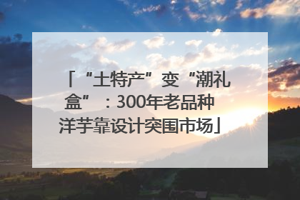 “土特产”变“潮礼盒”：300年老品种洋芋靠设计突围市场