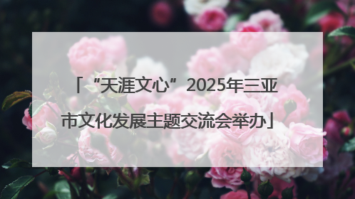 “天涯文心”2025年三亚市文化发展主题交流会举办