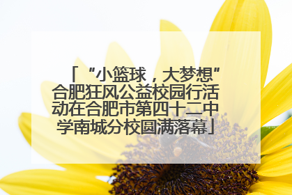 “小篮球，大梦想”合肥狂风公益校园行活动在合肥市第四十二中学南城分校圆满落幕