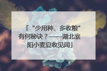 “少用种、多收粮”有何秘诀？——湖北襄阳小麦夏收见闻