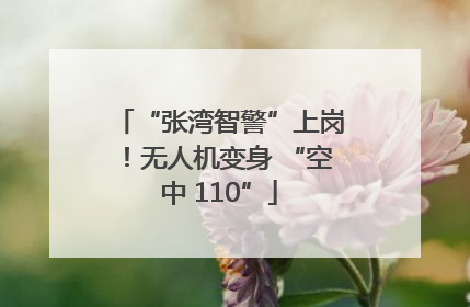 “张湾智警”上岗！无人机变身 “空中 110”
