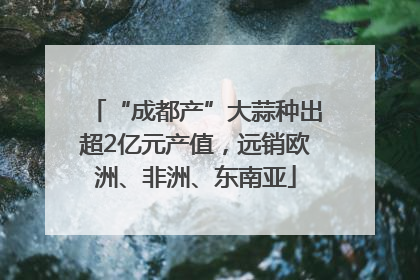 “成都产”大蒜种出超2亿元产值，远销欧洲、非洲、东南亚