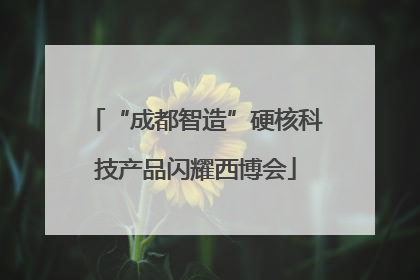 “成都智造”硬核科技产品闪耀西博会