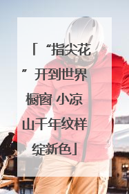 “指尖花”开到世界橱窗 小凉山千年纹样绽新色
