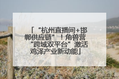 “杭州直播间+邯郸供应链”！角兽营“跨域双平台”激活鸡泽产业新动能
