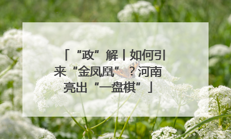 “政”解丨如何引来“金凤凰”？河南亮出“一盘棋”