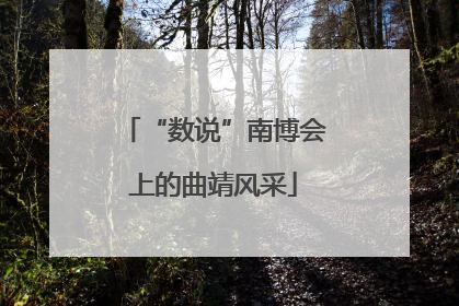 “数说”南博会上的曲靖风采
