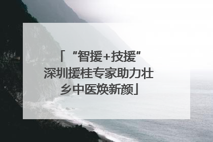 “智援+技援” 深圳援桂专家助力壮乡中医焕新颜