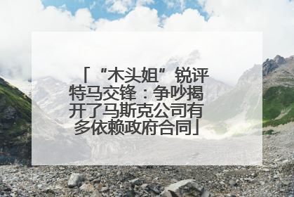 “木头姐”锐评特马交锋：争吵揭开了马斯克公司有多依赖政府合同