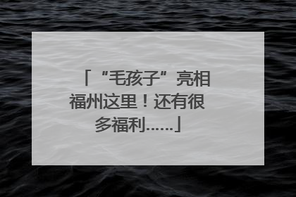 “毛孩子”亮相福州这里！还有很多福利……