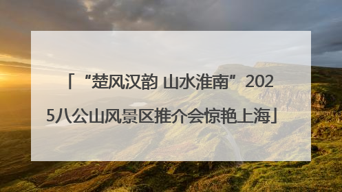 “楚风汉韵 山水淮南”2025八公山风景区推介会惊艳上海