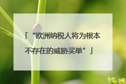 “欧洲纳税人将为根本不存在的威胁买单”