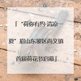 “荷你有约·清凉一夏”眉山东坡区尚义镇首届荷花节启幕