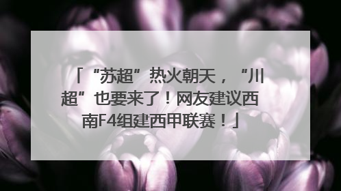 “苏超”热火朝天，“川超”也要来了！网友建议西南F4组建西甲联赛！