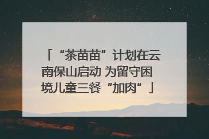“茶苗苗”计划在云南保山启动 为留守困境儿童三餐“加肉”
