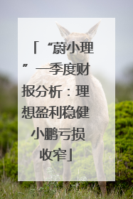 “蔚小理”一季度财报分析：理想盈利稳健 小鹏亏损收窄