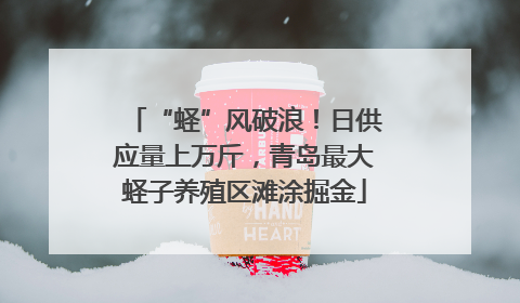 “蛏”风破浪！日供应量上万斤，青岛最大蛏子养殖区滩涂掘金