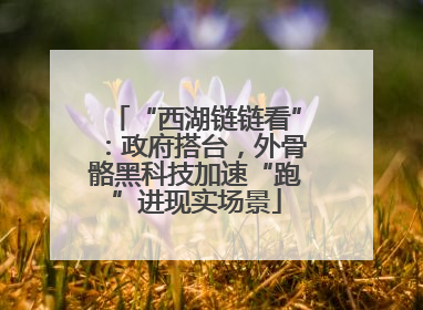 “西湖链链看”：政府搭台，外骨骼黑科技加速“跑”进现实场景