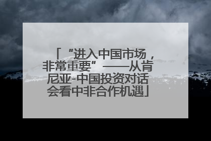 “进入中国市场，非常重要”——从肯尼亚-中国投资对话会看中非合作机遇