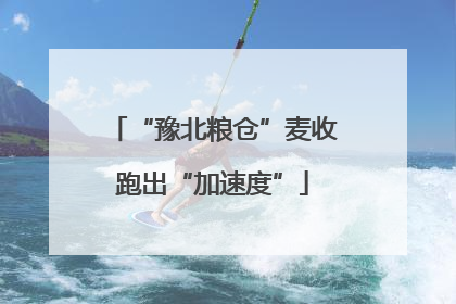 “豫北粮仓”麦收跑出“加速度”